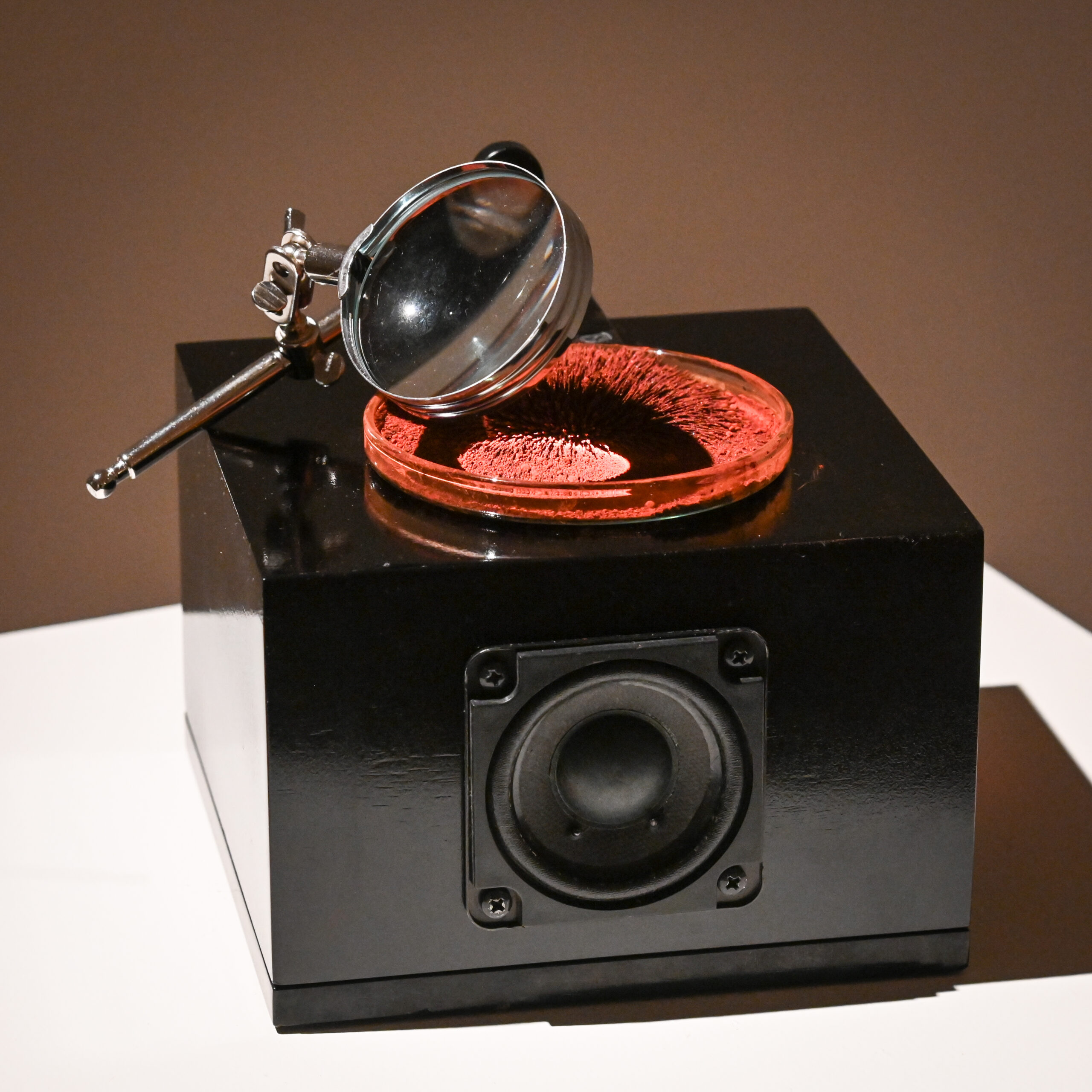 An art showing a speaker, iron fillings, and a magnifying glass.