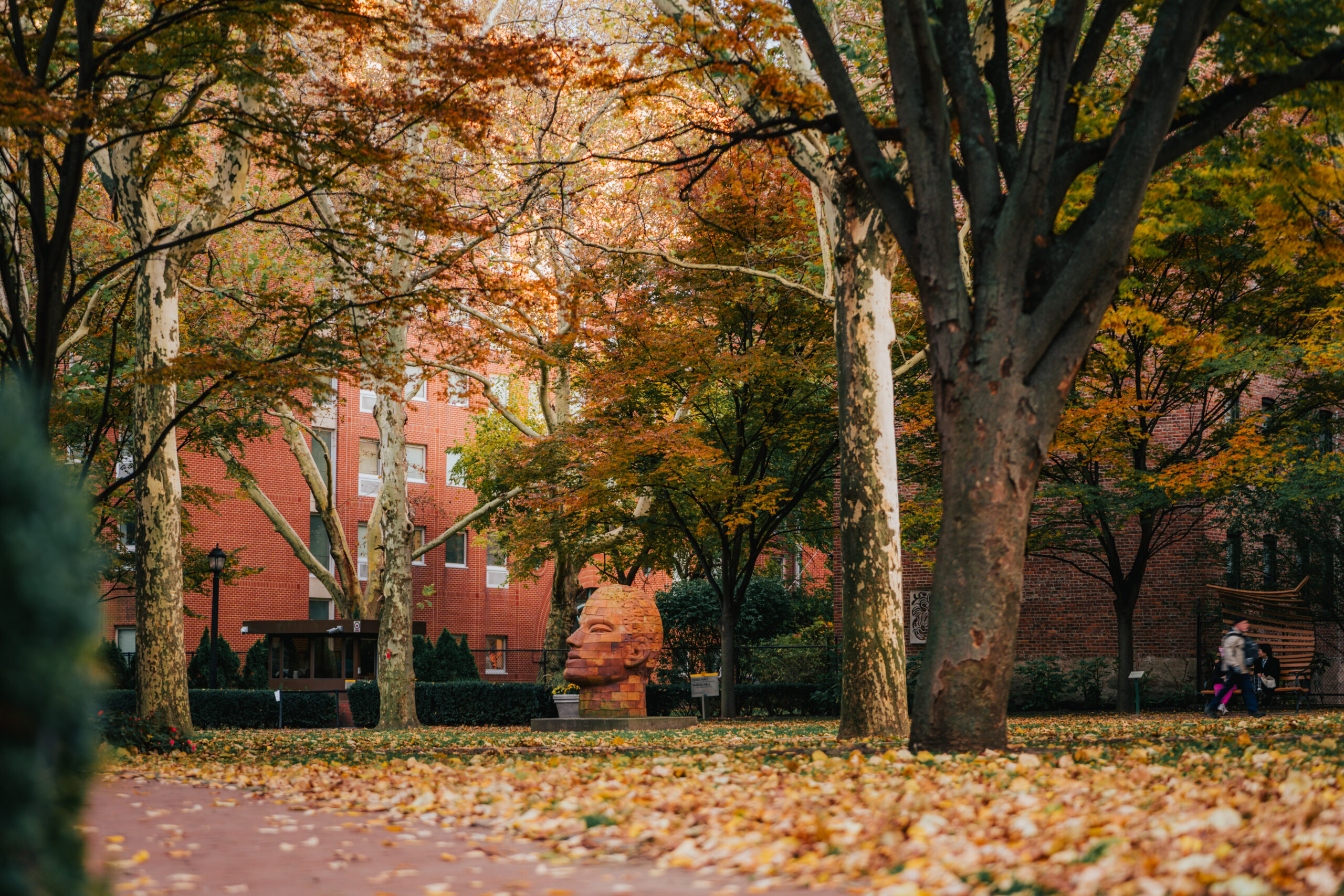 A scenic outdoor campus view during the fall season. The scene features large trees with autumn leaves, a red brick building in the background, and a large head sculpture. The ground is covered with fallen leaves, creating a peaceful and picturesque atmosphere.