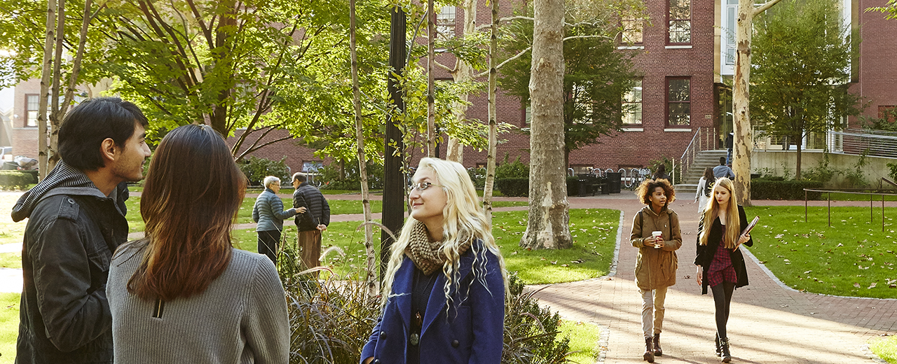 A group of students walking and talking on a green campus with brick pathways. Two students in the foreground are engaged in conversation, with one facing the camera. In the background, two other students are walking together while holding a coffee cup and books. The scene is framed by large trees and red brick buildings, creating a peaceful and academic atmosphere.