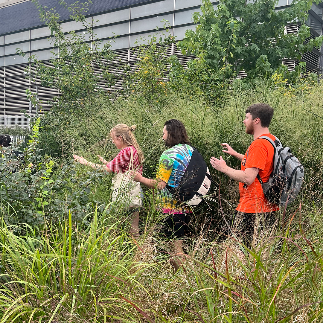 Three students walking through tall grasses at a remediated environmental site.