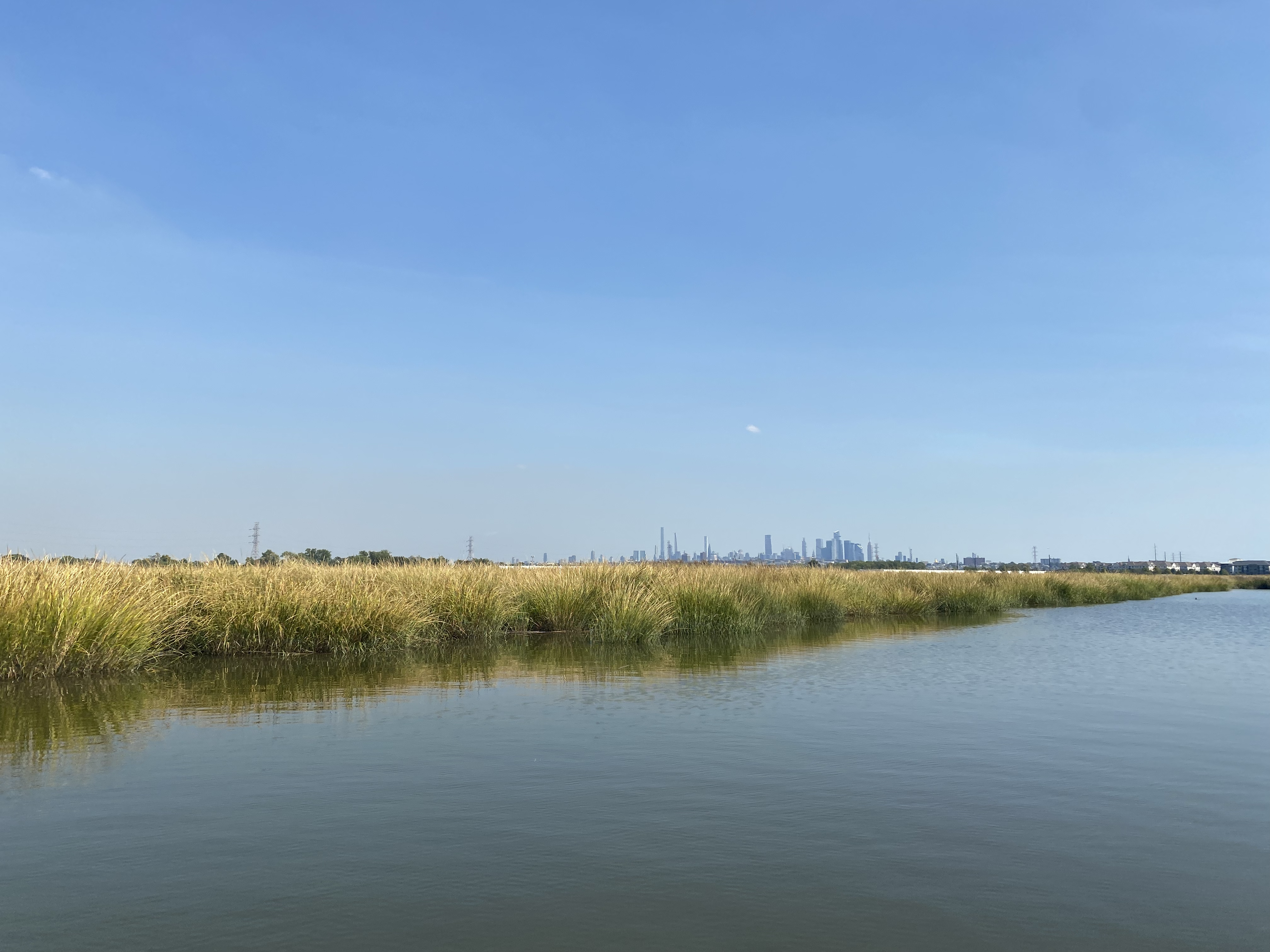 A tranquil marshland scene featuring golden reeds along the edge of calm, reflective water under a clear blue sky. In the distance, a city skyline rises faintly against the horizon, blending industrial structures with the natural landscape.