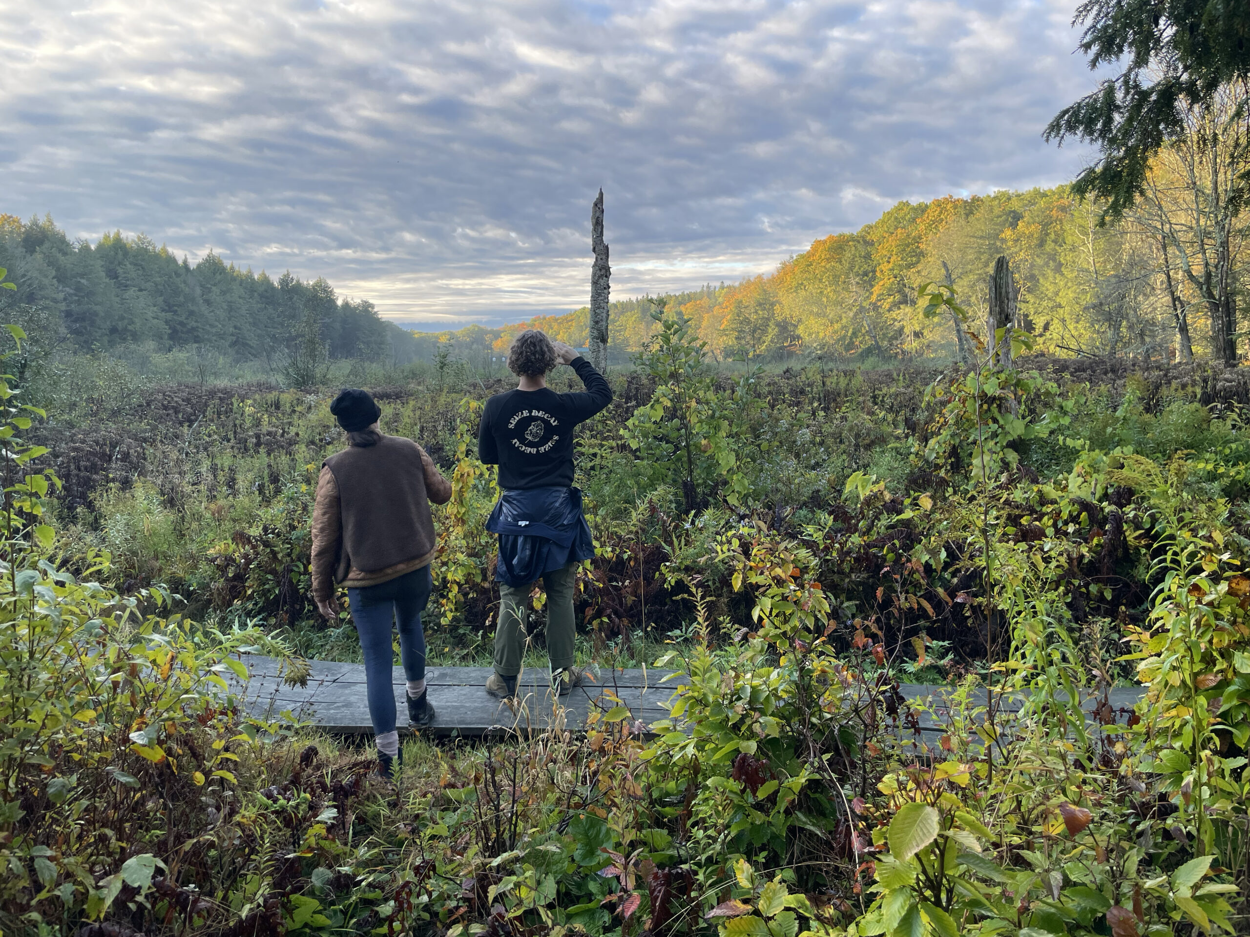 Two people walking on a wooden boardwalk through a lush wetland filled with vibrant greenery and autumn foliage. One person gestures toward the landscape, framed by tall trees and a dramatic sky filled with clouds, with the golden light of sunrise casting a warm glow.