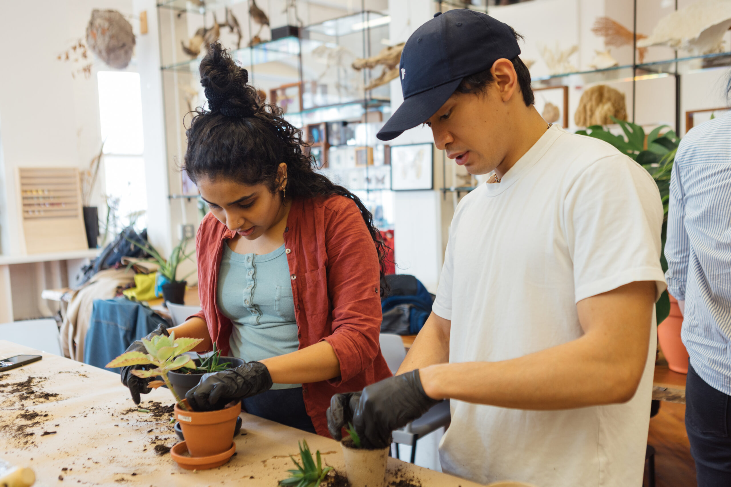 two students, in lab, working with plants, artworks in room in background