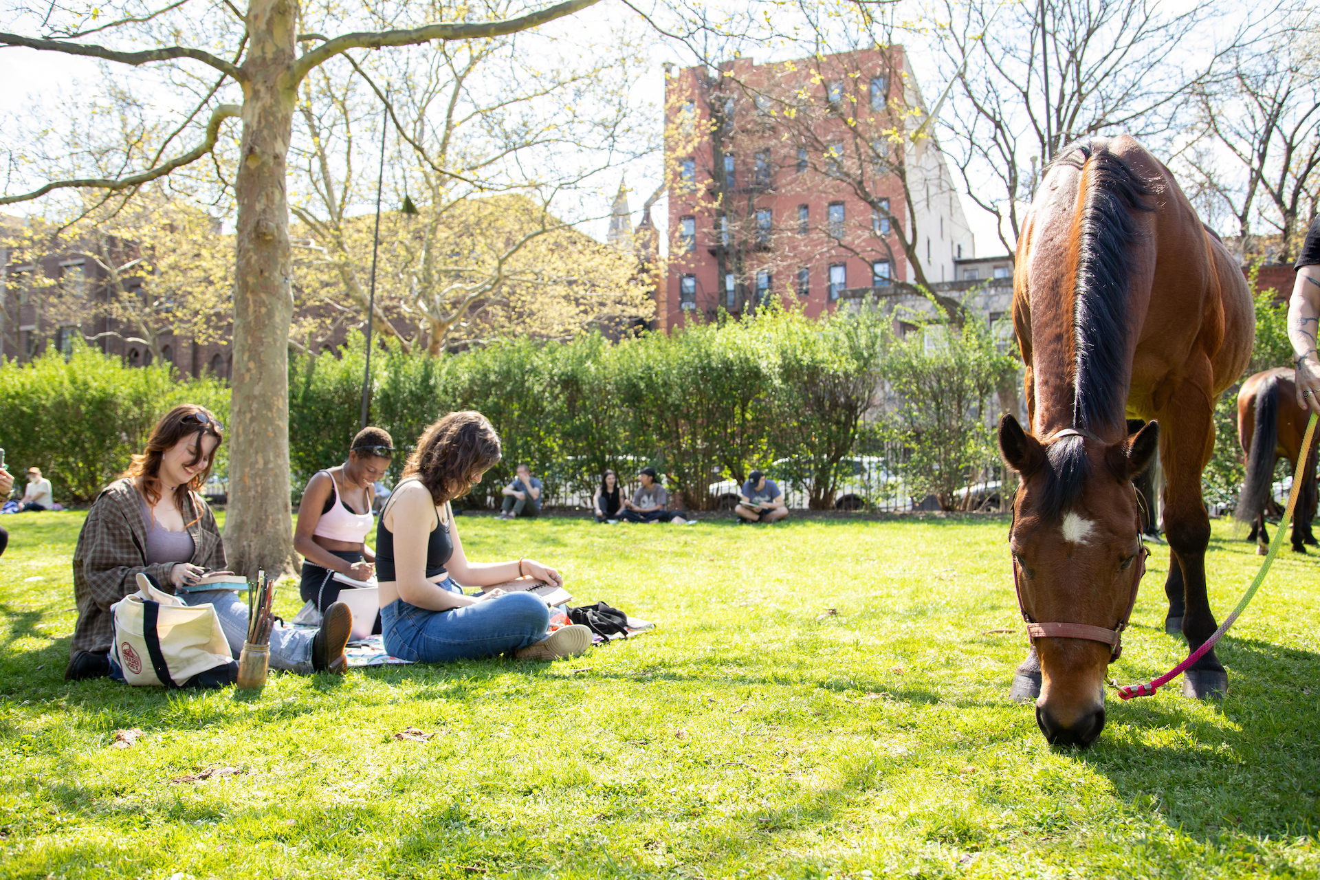 Students sitting on a grassy lawn with art supplies, sketching and reading. In the foreground, a brown horse with a white marking on its forehead grazes on the grass, tethered by a pink lead. The background features a large tree, lush greenery, and a brick building, with additional students sitting on the grass.