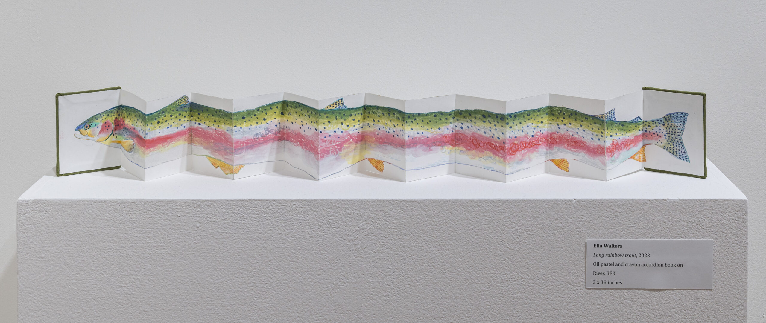 An accordion-style book displayed on a white pedestal, featuring a colorful illustration of a long rainbow trout. The artwork uses vibrant oil pastel and crayon textures to depict the fish's scales and stripes in shades of green, red, yellow, and blue. A label beside the artwork provides details about the piece and its dimensions.